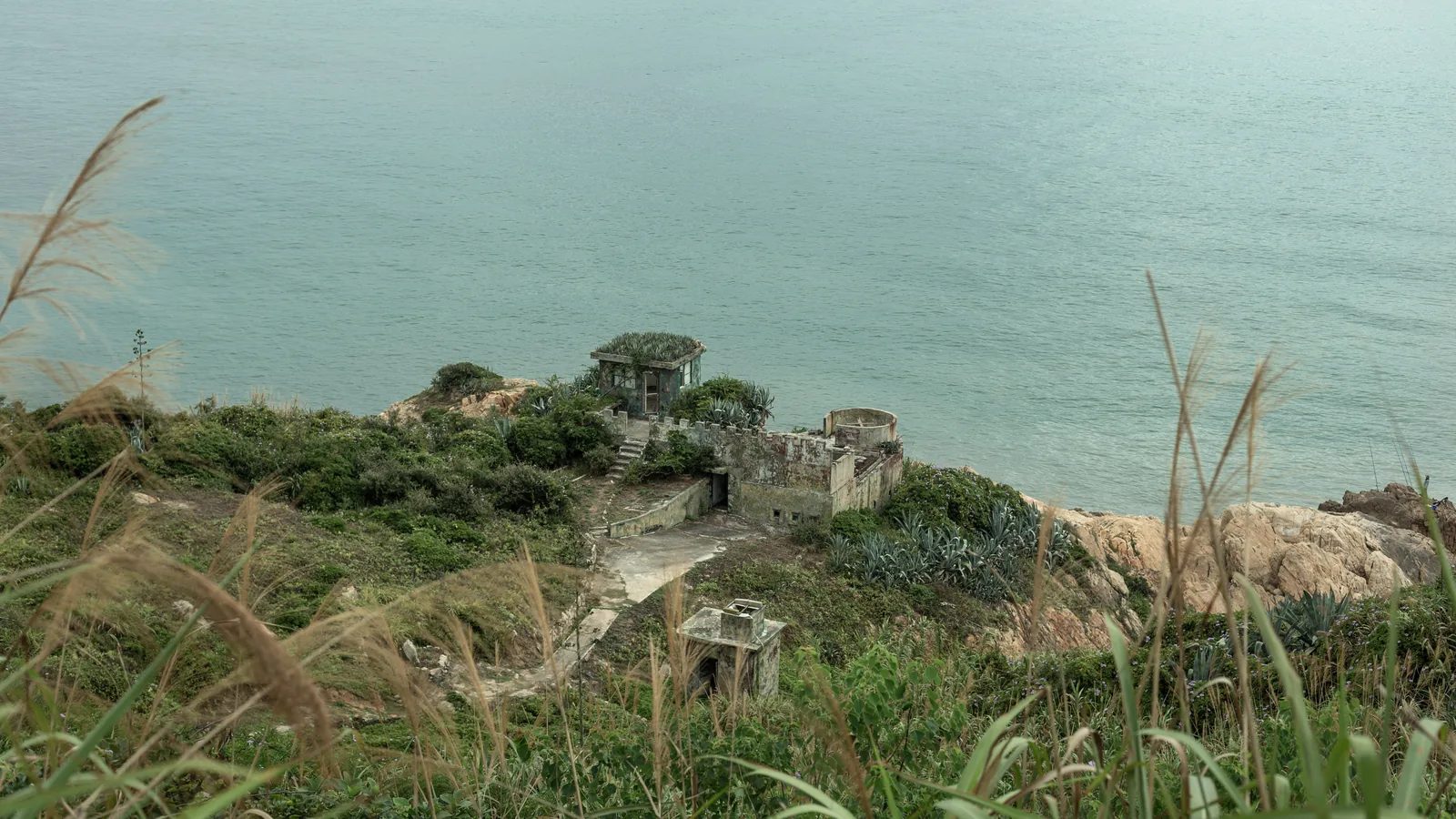 從前景的長草望向海邊坡地，數座小型混凝土建物散布在草木與岩石之間。