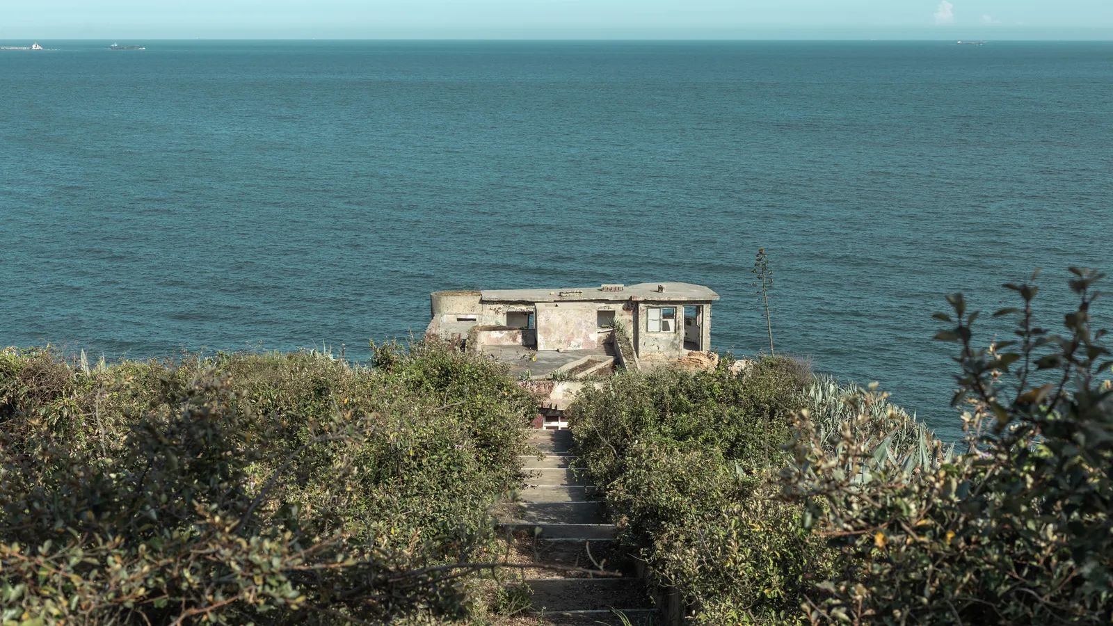 A flight of steps runs through dense shrubs towards a low seaside building, with blue water stretching into the distance.