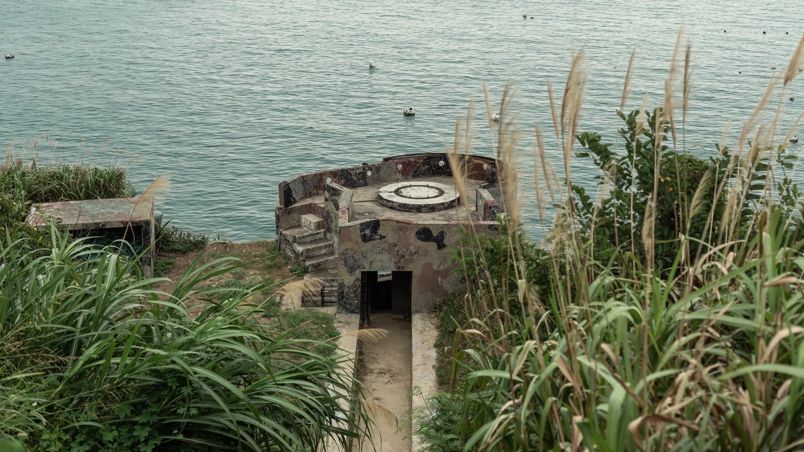 從長草間俯看海邊的圓形建物，外側階梯通往帶有圓形圖案的屋頂。