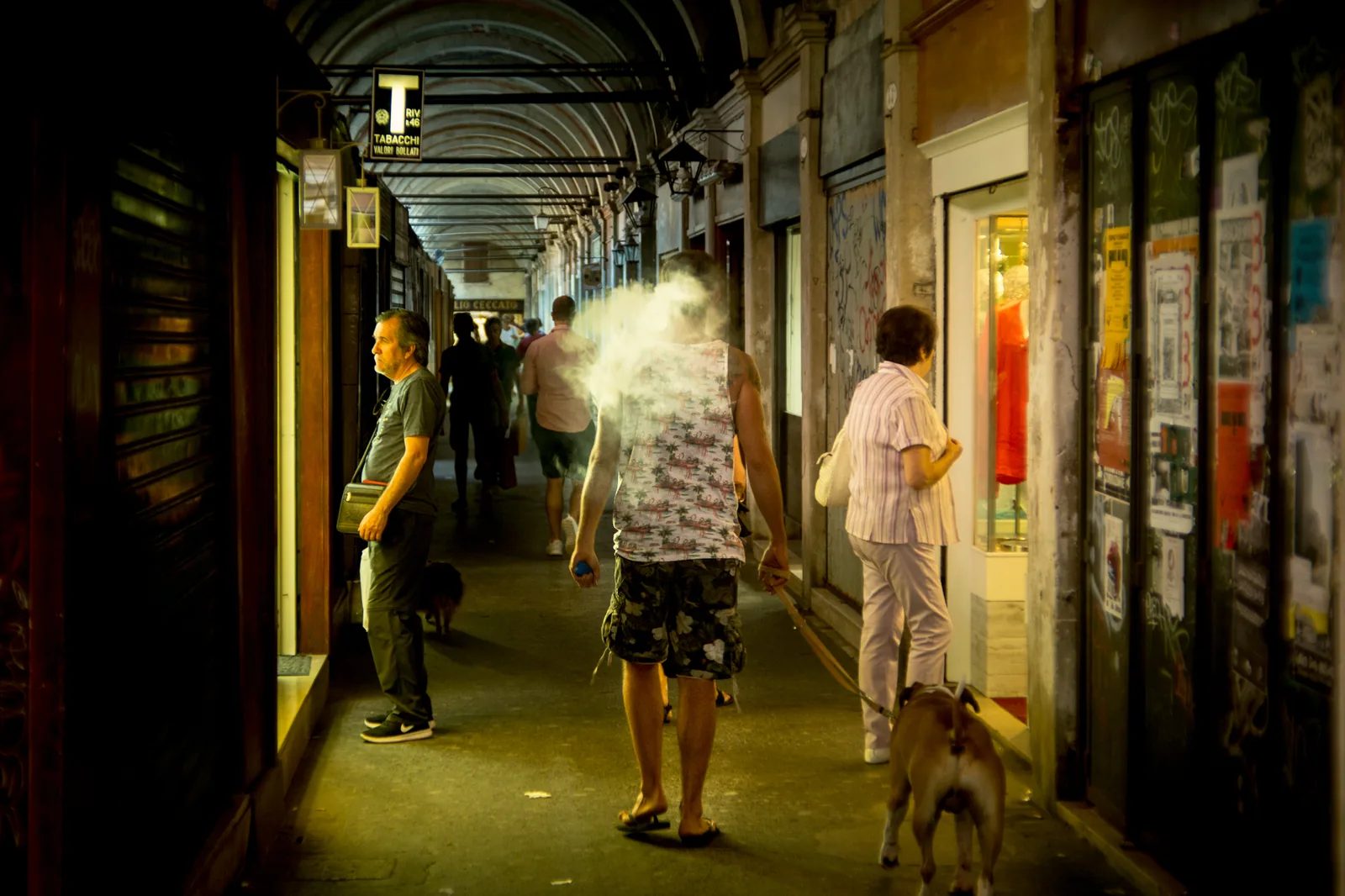 拱頂走廊兩側排列店面，行人與狗在其中穿行。