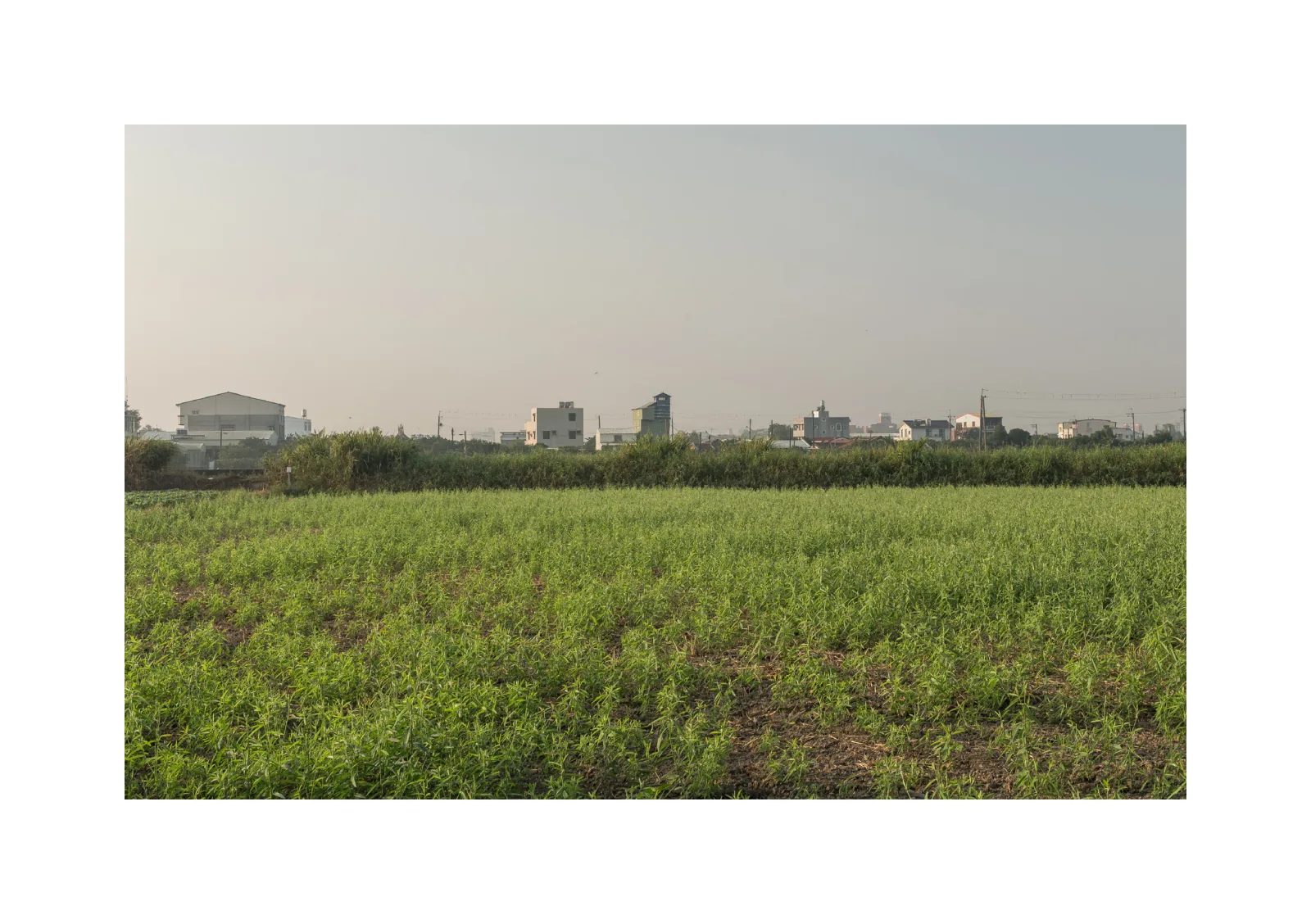 小冊子《1》第 33 頁：寬闊綠色田地延伸至遠方住宅，天空帶著柔和霧色。